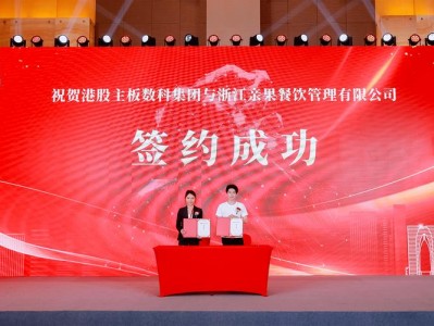 华联控股股份有限公司，华联控股股份有限公司2023年度财务报告分析(2024头条知乎已更新）