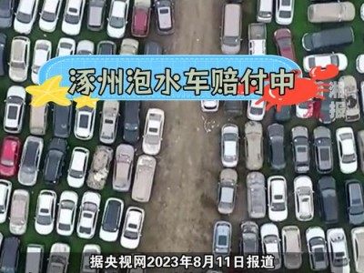 车泡水保险公司怎么赔偿，车泡水保险公司怎么赔付(2024头条知乎已更新）