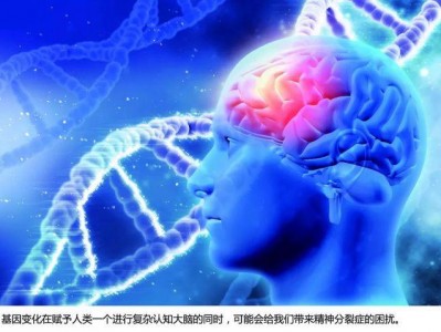 ctsh，ct少女订制舞蹈在线观看(2024头条知乎已更新）