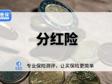 新华优选基金？新华优选混合基金？(知乎）