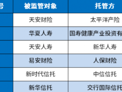 天安保险股份有限公司，天安保险股份有限公司北京分公司(2024头条知乎已更新）