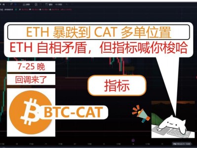 eth是哪个国家，eth全称(2024头条知乎已更新）