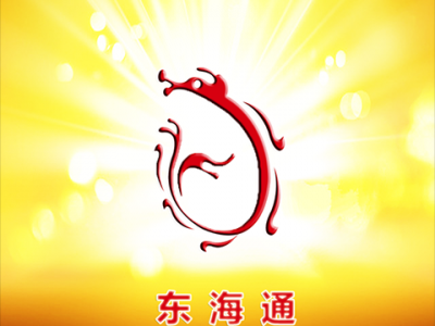 东海证券龙网，东海证劵(2024头条知乎已更新）