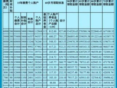 新农保缴费标准，自贡新农保缴费标准？（今日头条已更新）