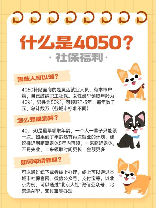什么是养老保险4050政策