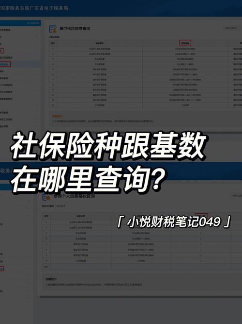 北京社保怎么查询