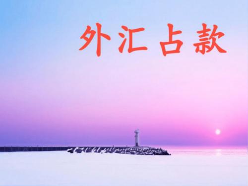 外汇占款的意思是什么