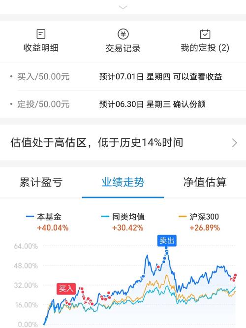 嘉实300定投