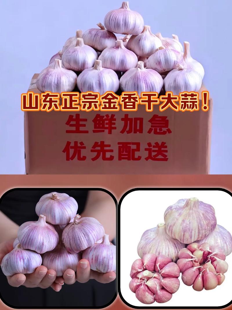 金乡大蒜世界交易所的近来现状