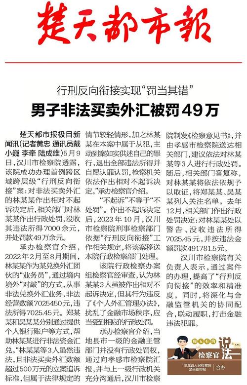 非法买卖外汇什么意思