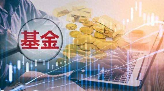 110003和110010这两只基金那只好
