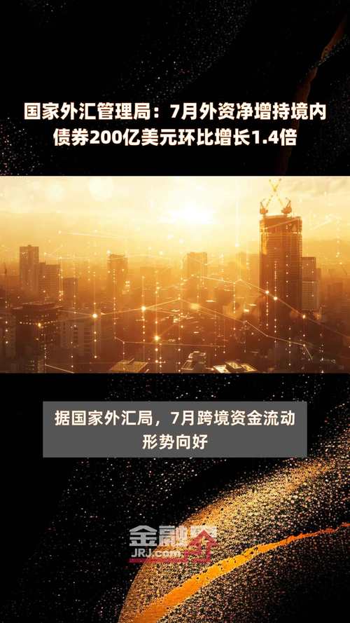 国家外汇管理局网上平台,请问国家外汇管理局网上平台是?