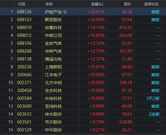 中蕊申购中签率