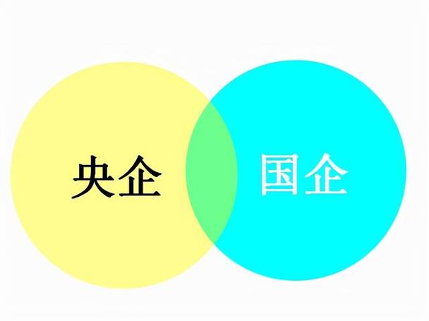 赛轮集团是国企还是央企