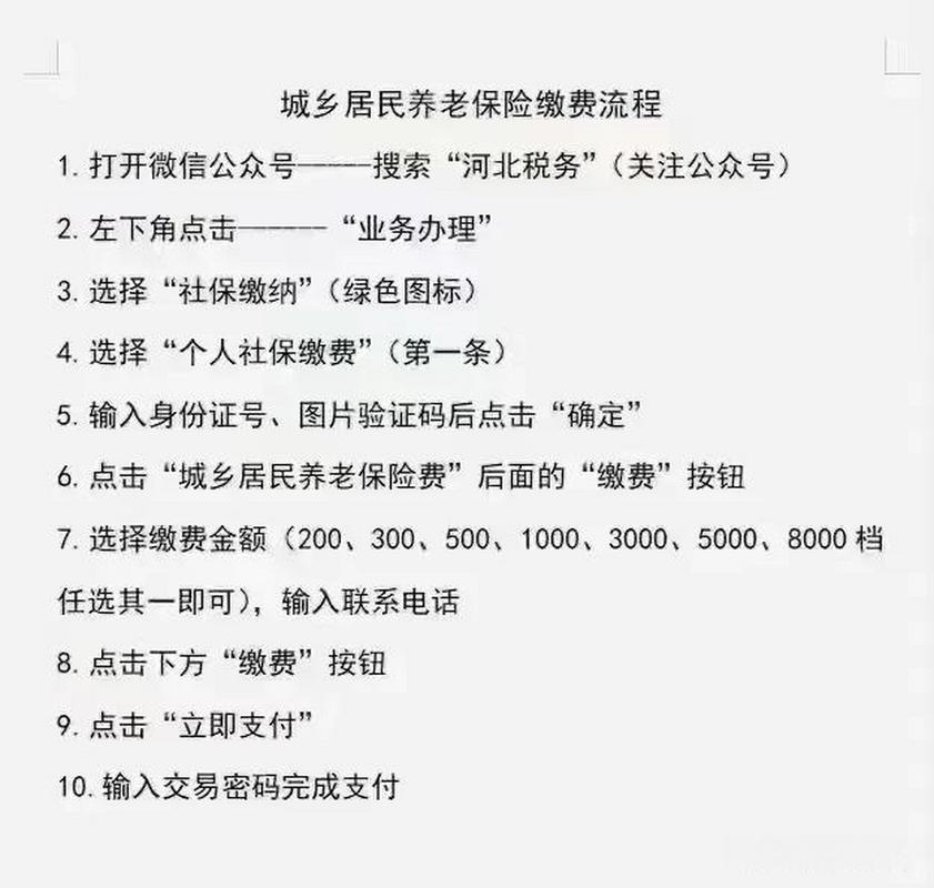城乡居民基本养老保险怎么交