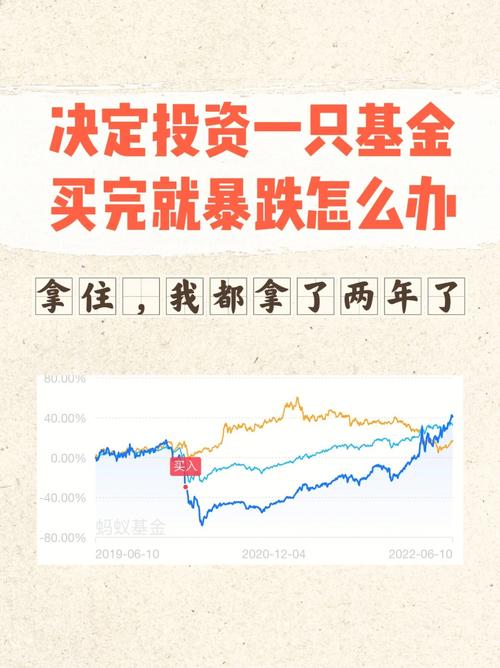 260109这支基金怎么样