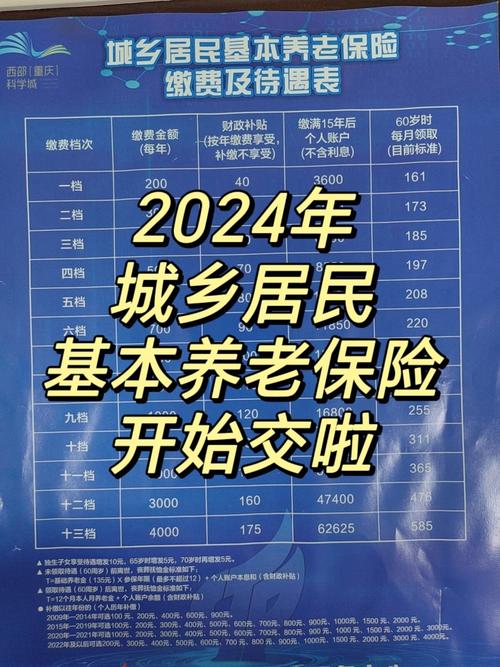 重庆一次性补缴养老保险的新政策