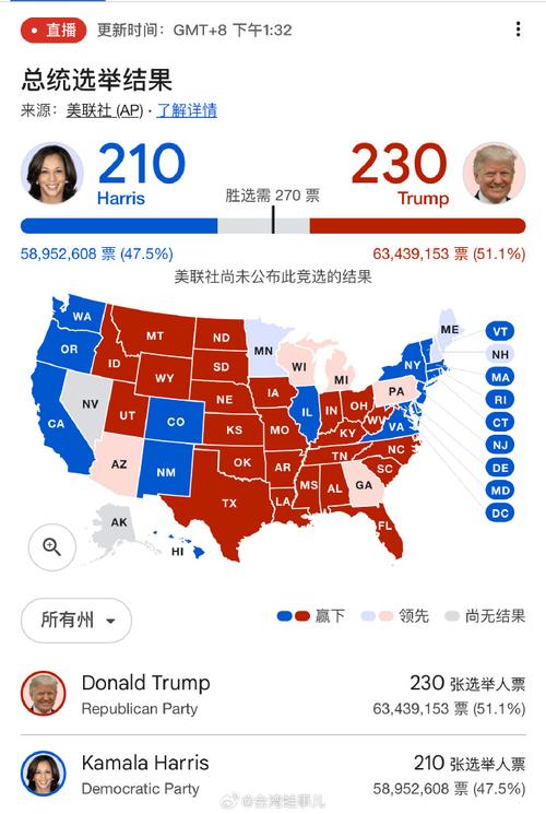 美国大选开票什么意思