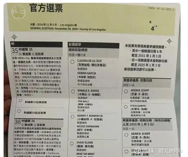 美国大选开票结果什么时间