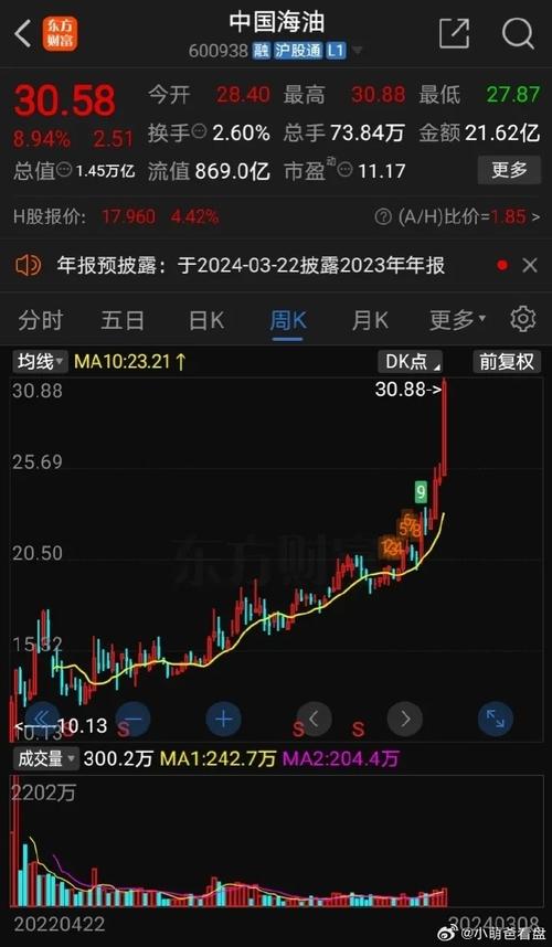 为什么中字头股票不能买