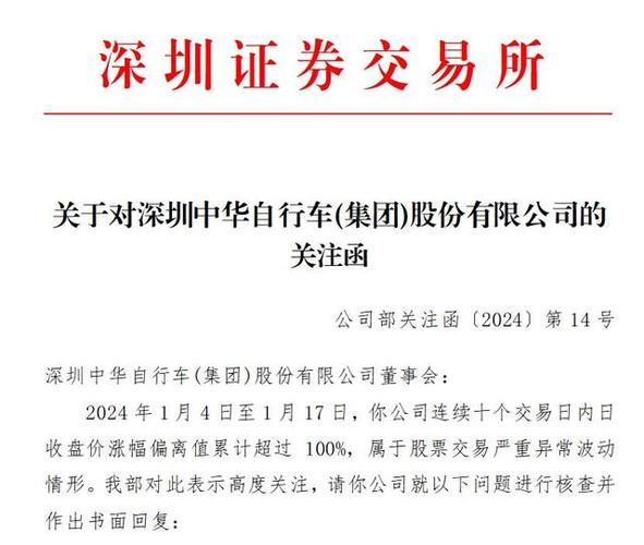 深中华a是什么公司