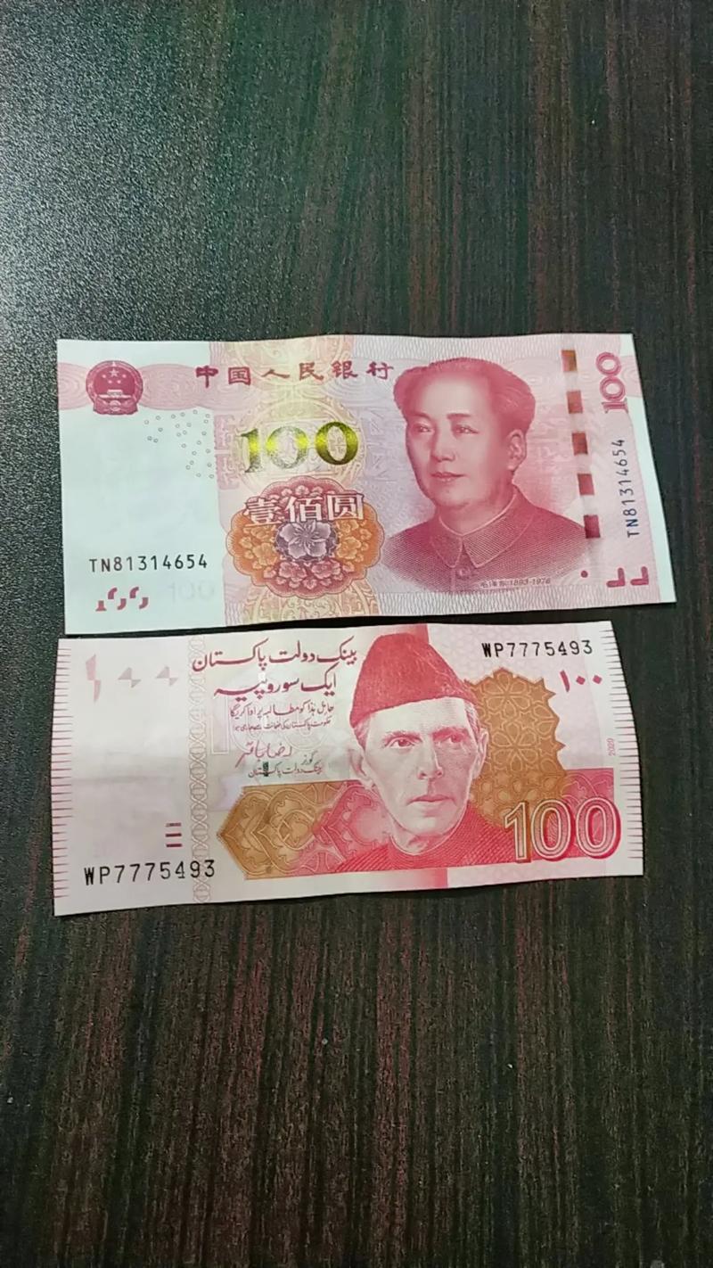 巴基斯坦的100元.可以兑换人民币的多少钱?