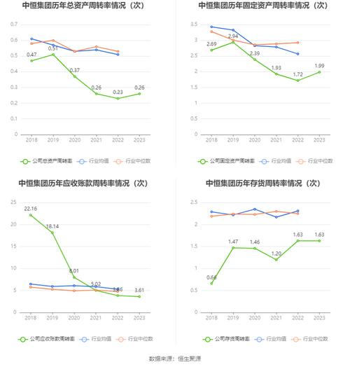 中恒集团的财务分析