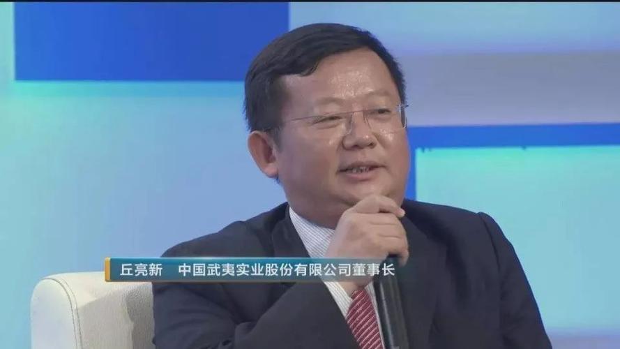中国武夷实业股份有限公司简史