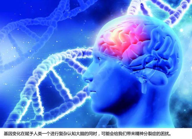 精神分裂的易感基因有多少?