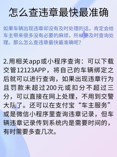 怎样查汽车违章查询
