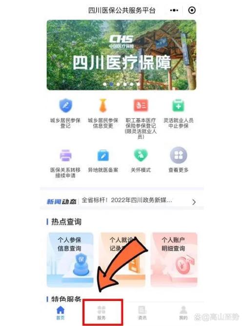 农村医疗保险查询_四川农村医疗保险查询