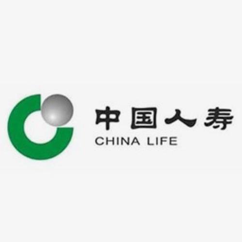 中国人寿财险logo