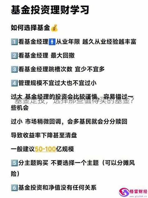 怎么查看建行基金定投产品?