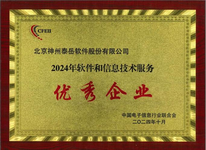 中国软件与技术服务股份有限公司的简介