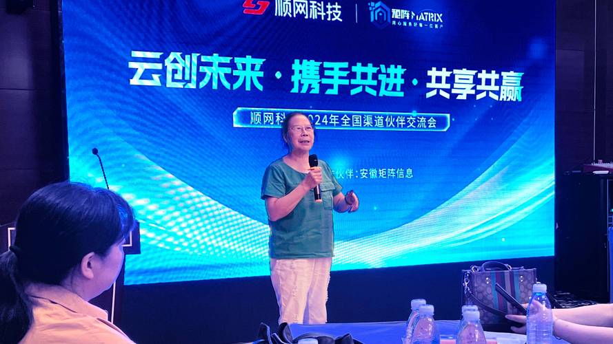 顺网科技是干什么的