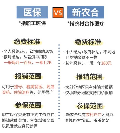 新农保从哪一年开始的