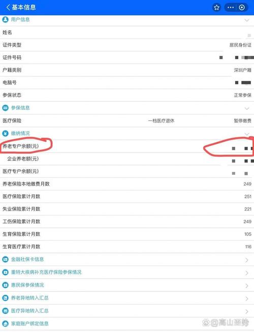 三亚市个人怎么查社保