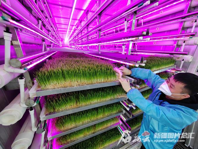 新疆天康畜牧生物技术股份有限公司的概况