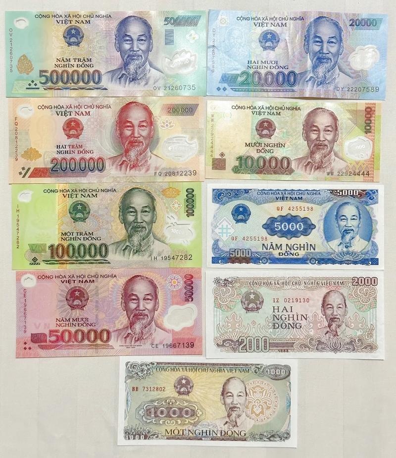 什么叫越南盾