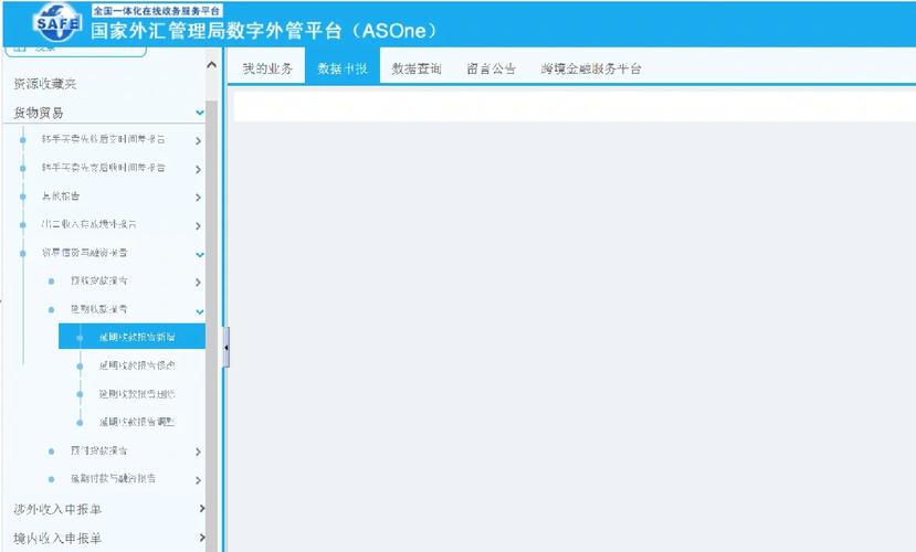国家外汇管理局网上服务平台,请教操作流程