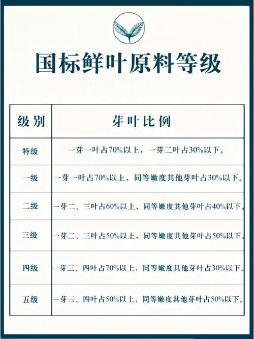 标普等级有几个等级