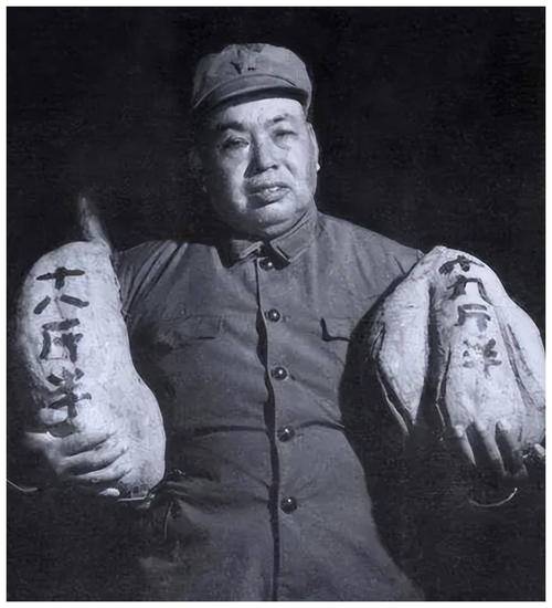 请问许世友解放后的任职情况?谢谢