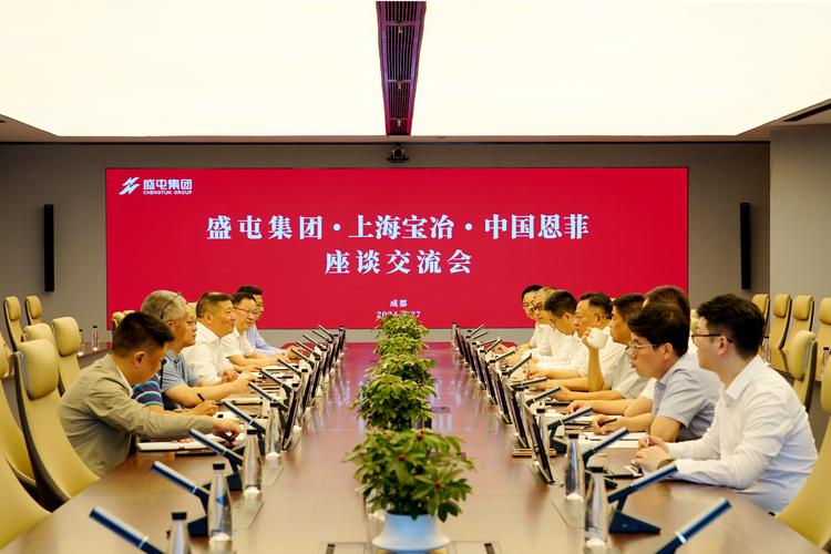 兄弟科技股份有限公司公司简介