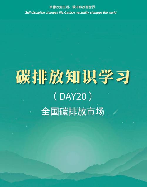 中国的碳市场正式启动是在哪个时间段