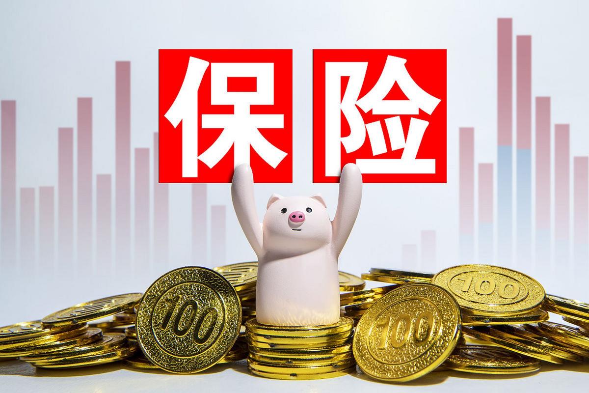 理财险是什么