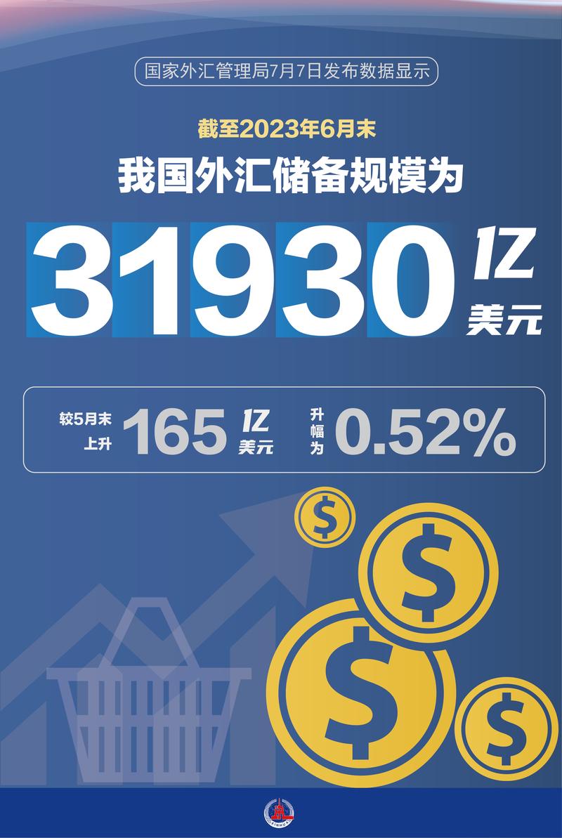 中国外汇储备是什么意思