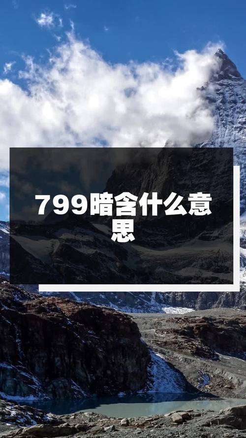 799$是什么意思