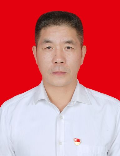 王国平的人物生平