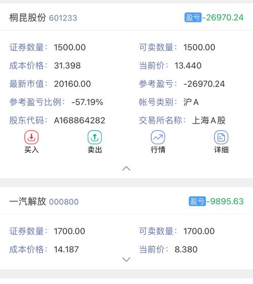 601233是什么股