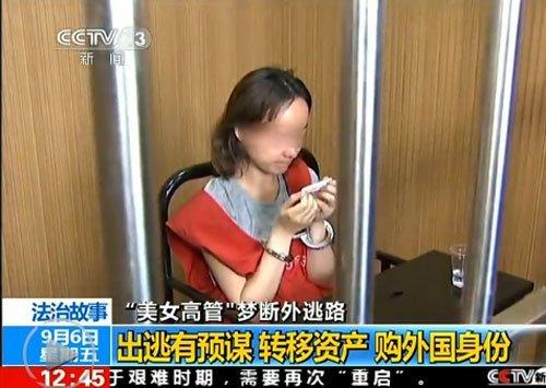 泛鑫保险代理公司事件